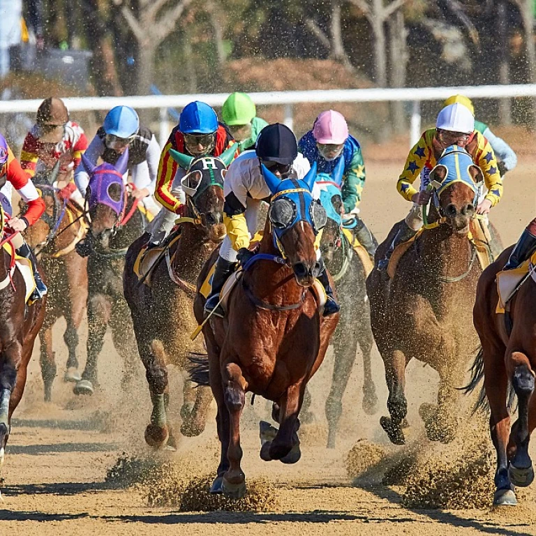 Comprendre la gazette des courses : un guide pour les passionnés