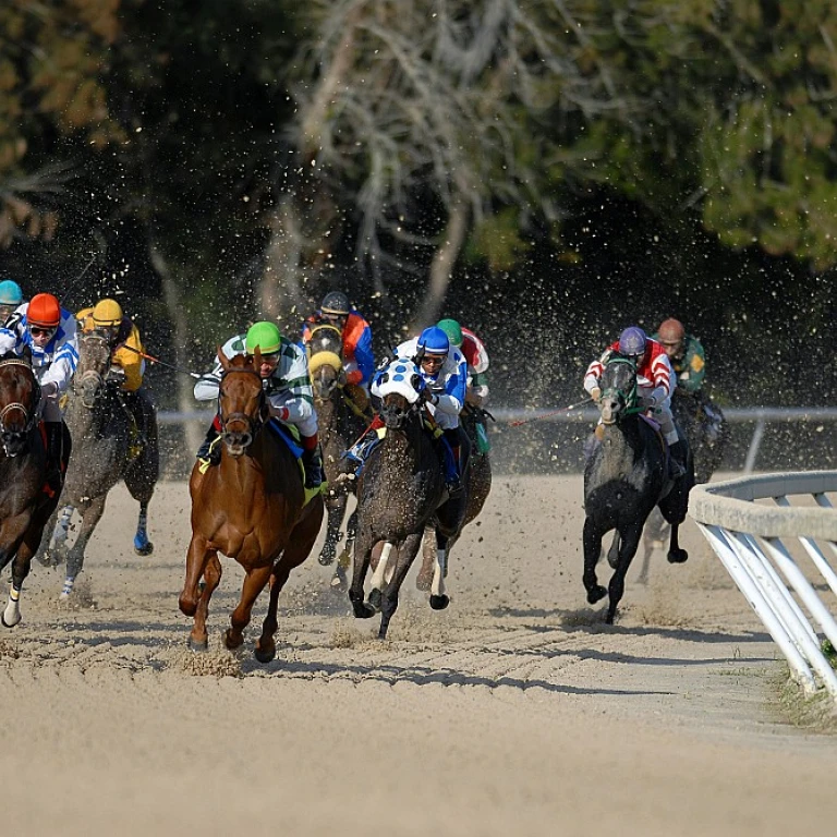 Profitez du week-end pour plonger dans l'univers du turf