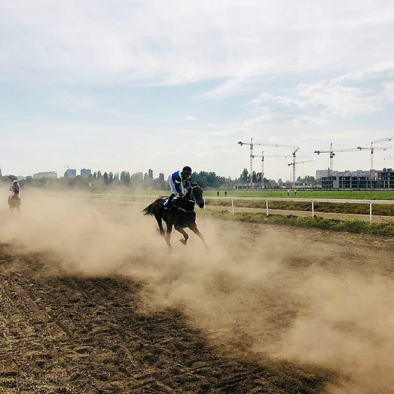 Comprendre l'écart jockey dans les courses hippiques