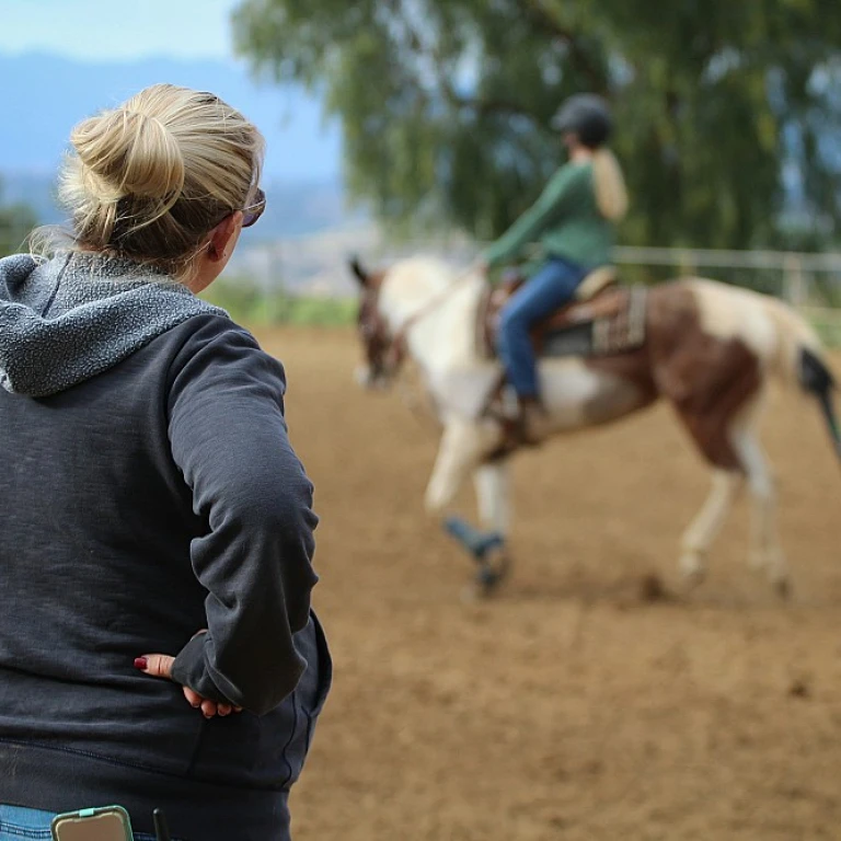 Comment obtenir un bpjeps en alternance dans le domaine des courses hippiques