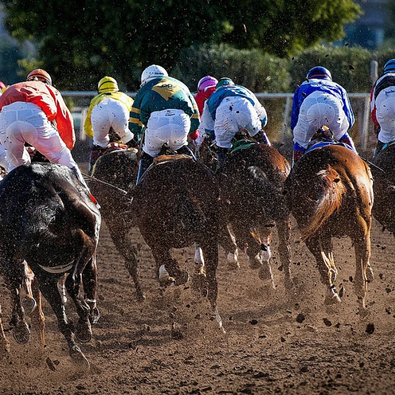 Comprendre l'importance du pedigree dans le trot
