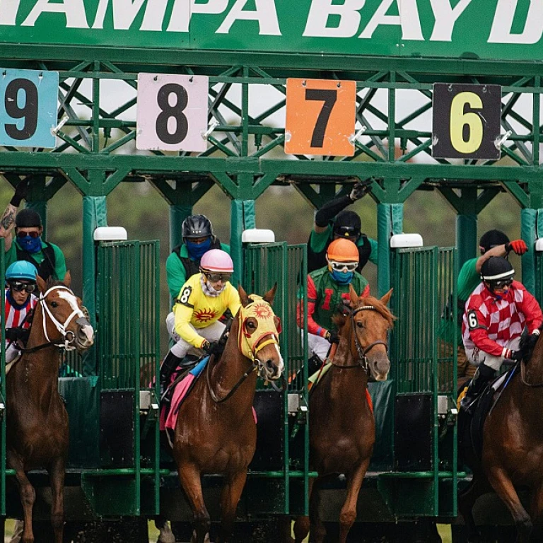 Comprendre le galop 3 dans les métiers des courses hippiques