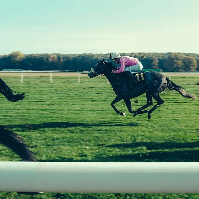 Travailler avec les chevaux : une passion au cœur des courses hippiques