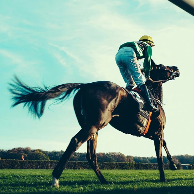 Les métiers passionnants autour des chevaux dans les courses hippiques