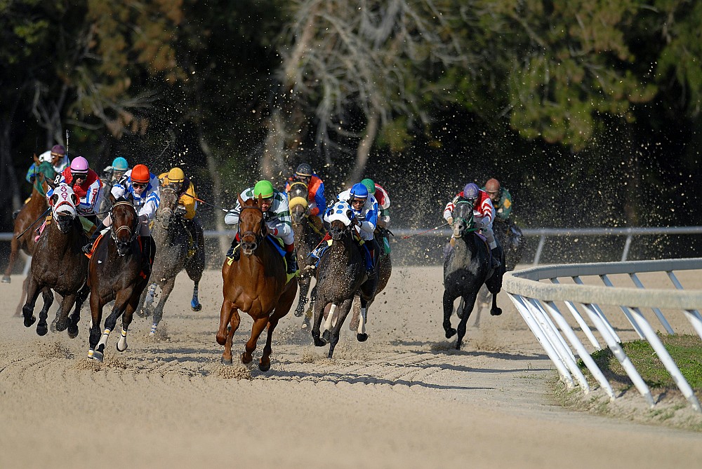Comprendre l'engagement au trot dans les courses hippiques